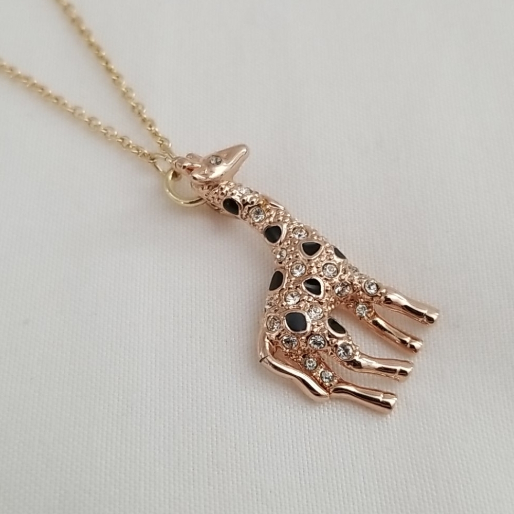 Jewelry Necklace